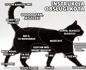 instrukcja obsługi kota
